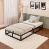 Bilily 10 Inch Twin Bed Frame with Steel Slat Support, Low Profile Twin Metal Platform Bed Frame Support Mattress Foundation, No Box Spring Needed/Easy Assembly/Noise Free view 2