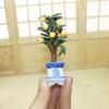 Decoration Ceramic Mini Orange Tree Potted Plants Toys Photograph Props for Mini Garden Doll House Ornaments view 2