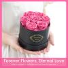 Beaulasting Long Lasting Preserved Roses in a Box Last a Year Forever Flowers for Her Mom Wife Anniversary Birthday (Round Black Box, Pink) view 3