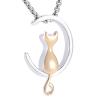 SHEIL CAT ON Moon Cremation Pendant&Necklace for Hold Ashes - Stainelss Steel Pet Ash Memorial Jewelry Funeral Casket,2 view 1