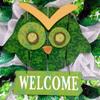 Luxury Handmade St. Patricks Day Deco Mesh Wreath  Irish Welcome Owl Front Door Decor, 24" or 28" view 2