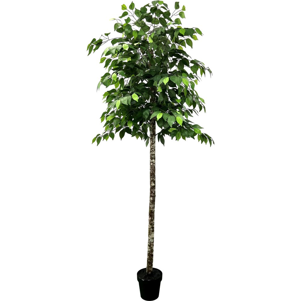 6.5' Artificial Ficus Tree, Artificial Plant, Hand-Made by Cypress & Alabaster with Real Wood Trunks