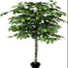 6.5' Artificial Ficus Tree, Artificial Plant, Hand-Made by Cypress & Alabaster with Real Wood Trunks view 2
