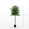 6.5' Artificial Ficus Tree, Artificial Plant, Hand-Made by Cypress & Alabaster with Real Wood Trunks view 4