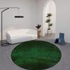 Round Carpet Green Circular Area Rugs for Bedroom Living Room Office Nordic Floor Mats for Coffee Table Computer Chair Piano Machnine Washable Throw Rugs Cushioned Rug Pad Contemporary Rug 4 Size view 3