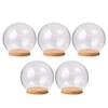 Sewroro Led Light Base 5Pcs Clear Glass Dome Cloche Bell Jars Dome Display Case Tabletop Centrepiece for Plants Succulents Fairy Lights Cake Decoration Clear Glass Plant Terrarium view 1