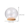 Sewroro Led Light Base 5Pcs Clear Glass Dome Cloche Bell Jars Dome Display Case Tabletop Centrepiece for Plants Succulents Fairy Lights Cake Decoration Clear Glass Plant Terrarium view 3