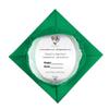 GradPlaza Matte Graduation Cap with Tassel Graduation hat for High School College Adult 2026 Emerald Green view 4