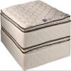 DS Solutions USA Coil Comfort 2-Sided Pillow Top Twin Mattress Set with Bed Frame Included - Sleep System with Enhanced Cushion Support, Orthopedic, Longlasting Comfort view 1