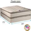 DS Solutions USA Coil Comfort 2-Sided Pillow Top Twin Mattress Set with Bed Frame Included - Sleep System with Enhanced Cushion Support, Orthopedic, Longlasting Comfort view 2