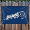 GRAPHICS & MORE Brandeis University Primary Logo Home Business Office Sign view 3