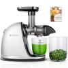 Cold PressJuicer,AMZCHEF Slow Masticating Juicer Machines with Reverse Function, High Juice Yield, Easy Clean with Brush,Recipes for High Nutrient Fruits and Vegetables, White(Updated) view 1