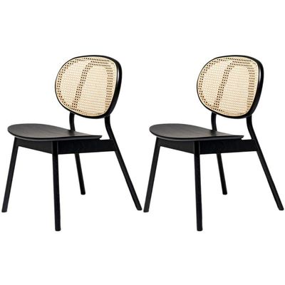 CraftThink Modern Dining Chairs, Armless Contemporary Rattan Dining Chair Open Back Dining Side Furniture in Matte Finish for Kitchen Dining Room, Set of 2 Black