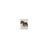 D-Art Collection Teak/Mahogany Solid Wood Standing Horse Statue in Dark Brown view 4
