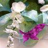 My Heart Sings in The Garden Spring or Summer Deco Mesh Wreath. Available in 24 inch and 28 inch diameters view 4