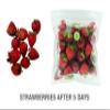 40PCS MAPWARE Food Storage/Packaging System - Extend Food Freshness 10x - Borosilicate Glass Food Containers with Lids - BPA-Free, Reusable Food Storage Bags - Kitchen Containers - Jar Canning Lid view 3