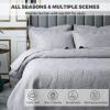 Blue Quilt Set Queen King Size Quilt Bedding Set, 3 Pieces Lightweight Soft Coverlet Modern Style King Coverlet, Stitching is Perfect, Wrinkle, Bedspread Set for All Seaso,Beige b,Queen view 2