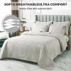 Blue Quilt Set Queen King Size Quilt Bedding Set, 3 Pieces Lightweight Soft Coverlet Modern Style King Coverlet, Stitching is Perfect, Wrinkle, Bedspread Set for All Seaso,Beige b,Queen view 3
