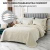 Blue Queen King Size Quilt Set with Pillow Shams, Quilt Reversible 3 Piece Bedding Set, Ultrasonic Quilting Technology, Soft, Wrinkle, Pilling Resistance, Bedspread Coverlet Set,White b,Queen view 3