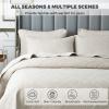Blue Queen King Size Quilt Set with Pillow Shams, Quilt Reversible 3 Piece Bedding Set, Ultrasonic Quilting Technology, Soft, Wrinkle, Pilling Resistance, Bedspread Coverlet Set,Beige a,Queen view 2