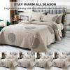 3 Piece Beige Queen King Size Quilt Sets with Pillowcase, Luxury Reversible Quilt Soft Lightweight Summer Bedding Comforter Bedspread Coverlet Quilt Set for All Season,Beige,King view 4