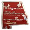 Alabama The Yellowhammer State Foil Fridge Magnet view 1
