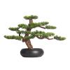Indoors Artificial Trees Indoors Ornament Artificial Bonsai Pine Tree Faux Potted Plants House Plants Zen Desktop Decoration for Home Kitchen Office Bookshelf Artificial Bonsai view 1