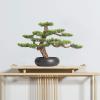 Indoors Artificial Trees Indoors Ornament Artificial Bonsai Pine Tree Faux Potted Plants House Plants Zen Desktop Decoration for Home Kitchen Office Bookshelf Artificial Bonsai view 4