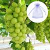 100pcs Fruit Protection Netting Bags, Netting Bag Vegetable Grapes Apples Fruit Protection Mesh Bag 20cm15cm (Color : 4) view 2