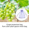100pcs Fruit Protection Netting Bags, Netting Bag Vegetable Grapes Apples Fruit Protection Mesh Bag 20cm15cm (Color : 8) view 4
