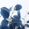 6PCS Artificial Eucalyptus Leaves Stems, 21 Inch Long Eucalyptus Plant Branches with Seeds, Fake Silver Dollar Spray Greenery Stems for Wedding Floral Arrangement Home Decor (Dark Blue) view 2