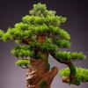 Indoors Artificial Trees Indoor Simulation Welcome Pine Bonsai Desktop Large Tree Plant Potted Home Living Room Office Desktop Bonsai Tree Decor Ornament Artificial Bonsai view 4