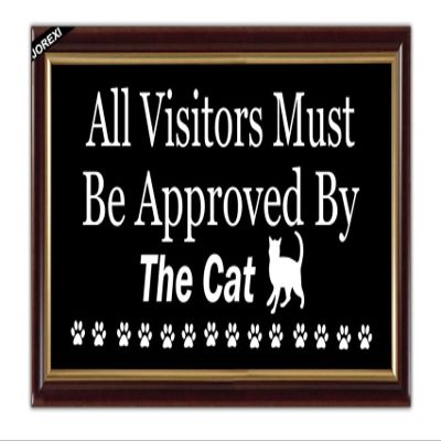 Cute Black Cat Paws Door Mat, Funny Welcome Front Door Mat Indoor Outdoor Entrance, Rustic All Visitors Must Be Approved By The Cat Doormat Rugs for Cat Lovers