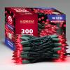 GLOWNOVA Green Wire,RED Incandescent Bulb 300 Mini String Lights for Indoor Christmas Tree Garland Birthday Wedding Party Festival Decoration view 1