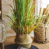 XXZY Artificial Trees Lifelike Faux Tree Artificial Floor Plants with Reed Flowers for Home Or Office view 2