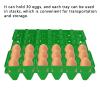 30 Cell Egg Crates Holder Tray, 5PCS Plastic Egg Flats, for Egg Packing, Each Holds 30 Eggs, for Storage Transportation Home Farm incubating (Green), 5PCS Plastic Egg Flats, 30 Cell Egg Crates Hold view 3