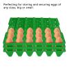 30 Cell Egg Crates Holder Tray, 5PCS Plastic Egg Flats, for Egg Packing, Each Holds 30 Eggs, for Storage Transportation Home Farm incubating (Green), 5PCS Plastic Egg Flats, 30 Cell Egg Crates Hold view 4