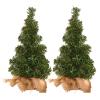 DCQRY 2Pcs Tabletop Mini Christmas Tree, 11.8inch Small Pine Tree with Burlap Base, Artificial Desktop Christmas Tree for Christmas Home Kitchen Dining Table Decorations view 1
