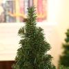 DCQRY 2Pcs Tabletop Mini Christmas Tree, 11.8inch Small Pine Tree with Burlap Base, Artificial Desktop Christmas Tree for Christmas Home Kitchen Dining Table Decorations view 3