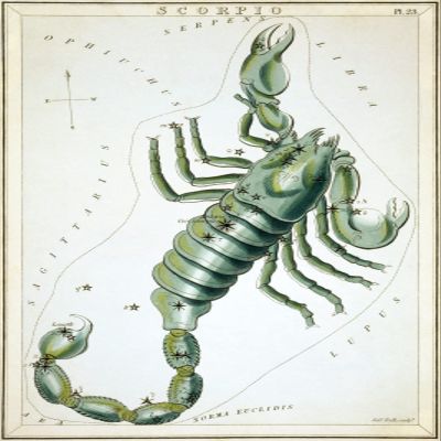 Textured Paper - Sidney Hall - Urania's Mirror - Scorpio Constellation (1825) Photo Poster Painting Art Print - Size: 6 x 4 Inches