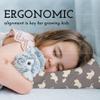 Little Sleepy Head Youth Pillow 16x22 with Hypoallergenic Cotton Pillow case Youth Pillows for Sleeping Age 5-10 - Snugly Designed Youth Neck Pillows for Travel, School and Bedtime - (Elephants Gray) view 4