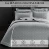 3-Piece Quilt Set 100% Cotton Quilt Cover, Grey Queen Size Quilts for Bed, Machine Washable Thin Comforter, Ultra Soft Lightweight Summer Comforter, Bedspread for All Seasons view 2