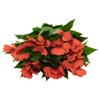 Allstate New Guinea Impatiens Artificial Floral Bush Spray - 13.75" - Tomato Red view 4