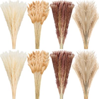 400 Pcs Dried Pampas Grass Decor Bulk 17 Inch White Dried Reed Grass Bunny Tails Dried Flowers Natural Fluffy Reed Grass Pampas Grass Brown White Pampas for Boho Home Table Party Wedding Decorations