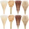 400 Pcs Dried Pampas Grass Decor Bulk 17 Inch White Dried Reed Grass Bunny Tails Dried Flowers Natural Fluffy Reed Grass Pampas Grass Brown White Pampas for Boho Home Table Party Wedding Decorations view 1