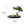 RHXWFDG Artificial Bonsai Tree Artificial Pine Bonsai Tree with Ceramic Flower Pot Large Potted Green Plant for Office and Home Fake Plant Decoration Fake Plants view 2