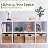 CHI AN HOME 12x12 Storage Cube Bins Wicker Storage Basket for Cube Shelf, Natural Foldable Square Baskets for Storage, Large Woven Cube Storage Bin with Handle, Baskets for Pantry, Bedroom Set of 4 view 2