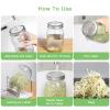SBMKK Seed Sprouting Jar Kit - 2 Wide Mouth Mason Jars with 316 Stainless Steel Sprouting Lids Covers, Drip Tray and Stand for Growing Broccoli Alfalfa Beans Sprout (Two Jars) view 4