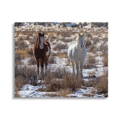 Stupell Industries Pair Horses Walking Through Snow Dusted Grassland, Design by Jeff Poe Photography