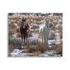 Stupell Industries Pair Horses Walking Through Snow Dusted Grassland, Design by Jeff Poe Photography view 1